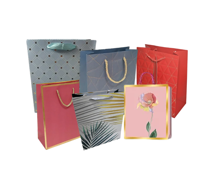 SACOLA PAPEL ESTAMPAS DIVERSAS 18X23 CM C...